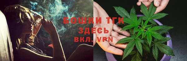 тгк Алзамай