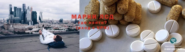 тгк Алзамай