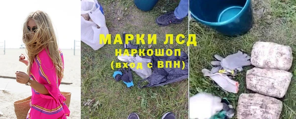 тгк Алзамай