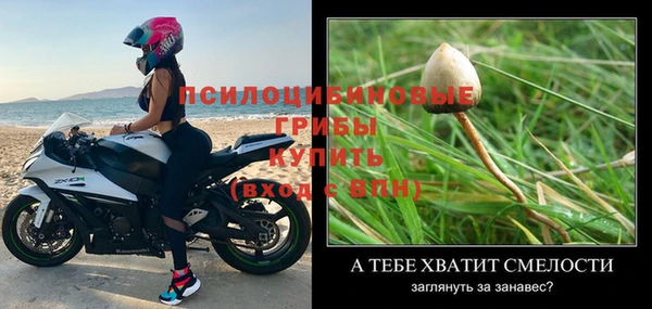 тгк Алзамай